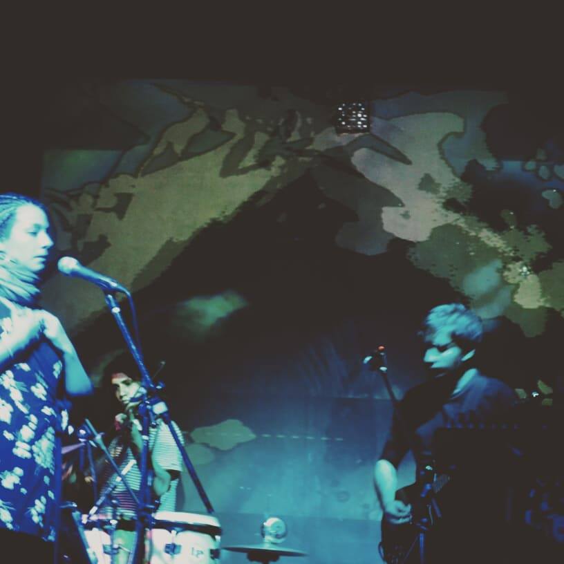 Ensamble Peripecia tocando en vivo en Argentina